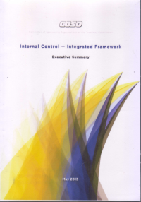 Image of INTERNAL CONTROL - INTEGRATED FRAMEWORK EXECUTIVE SUMMARY