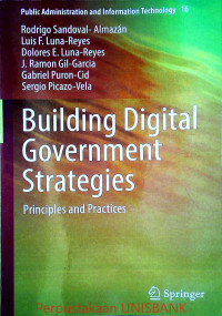 Image of BUILDING DIGITAL GOVERMENT STRATEGIES; Principles & Practices vol.16